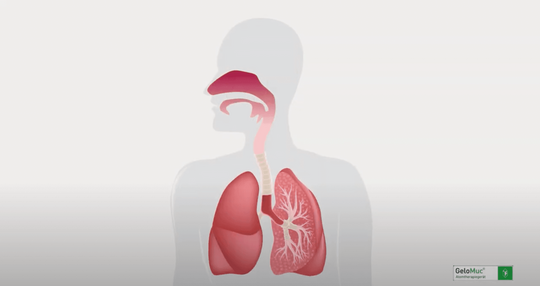 Video zur Wirkweise des GeloMuc® Atemtherapiegeräts